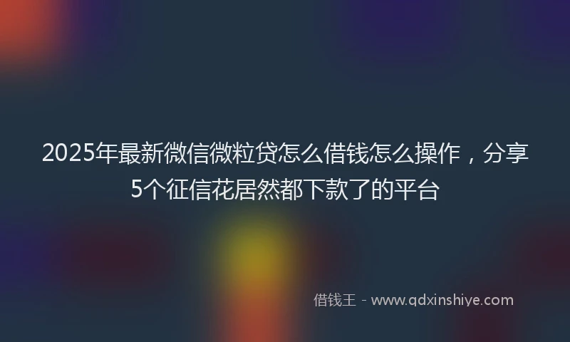 2025年最新微信微粒贷怎么借钱怎么操作，分享5个征信花居然都下款了的平台