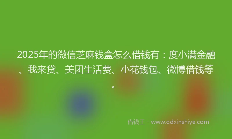 2025年的微信芝麻钱盒怎么借钱有：度小满金融、我来贷、美团生活费、小花钱包、微博借钱等。