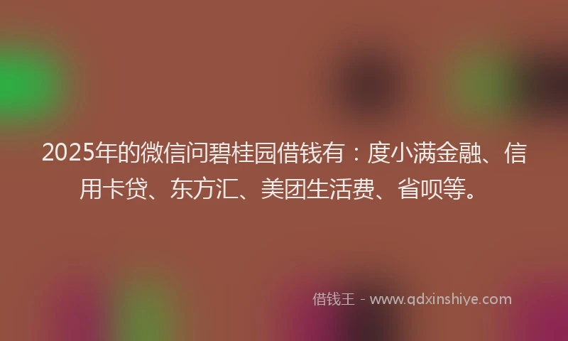 2025年的微信问碧桂园借钱有：度小满金融、信用卡贷、东方汇、美团生活费、省呗等。