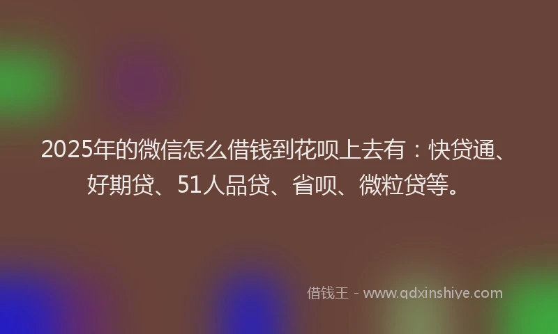 2025年的微信怎么借钱到花呗上去有：快贷通、好期贷、51人品贷、省呗、微粒贷等。