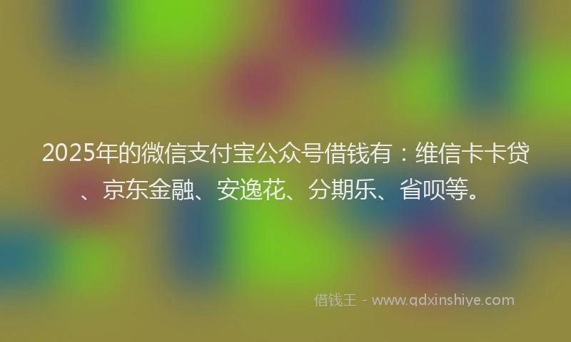 2025年的微信支付宝公众号借钱有：维信卡卡贷、京东金融、安逸花、分期乐、省呗等。