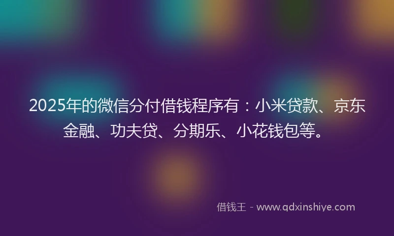 2025年的微信分付借钱程序有：小米贷款、京东金融、功夫贷、分期乐、小花钱包等。