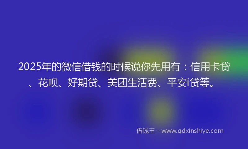 2025年的微信借钱的时候说你先用有：信用卡贷、花呗、好期贷、美团生活费、平安i贷等。