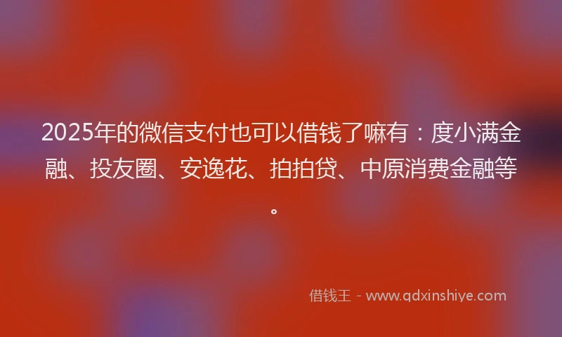 2025年的微信支付也可以借钱了嘛有：度小满金融、投友圈、安逸花、拍拍贷、中原消费金融等。