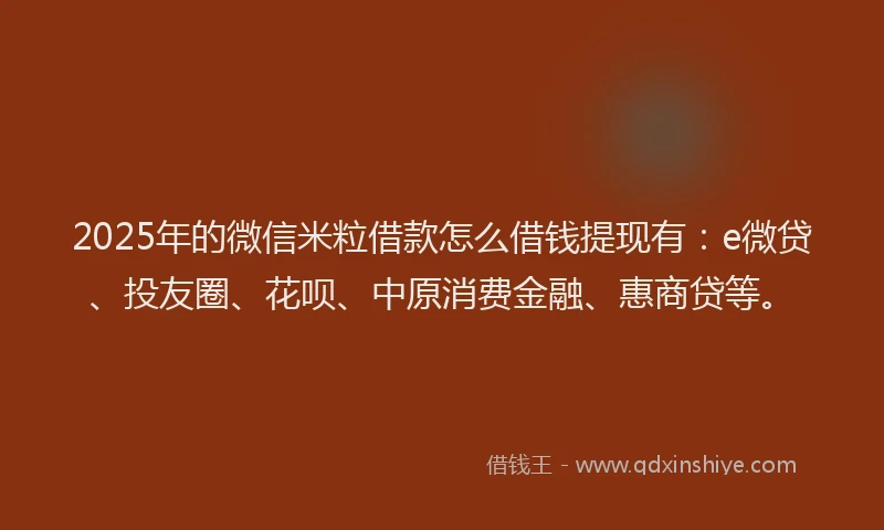2025年的微信米粒借款怎么借钱提现有：e微贷、投友圈、花呗、中原消费金融、惠商贷等。