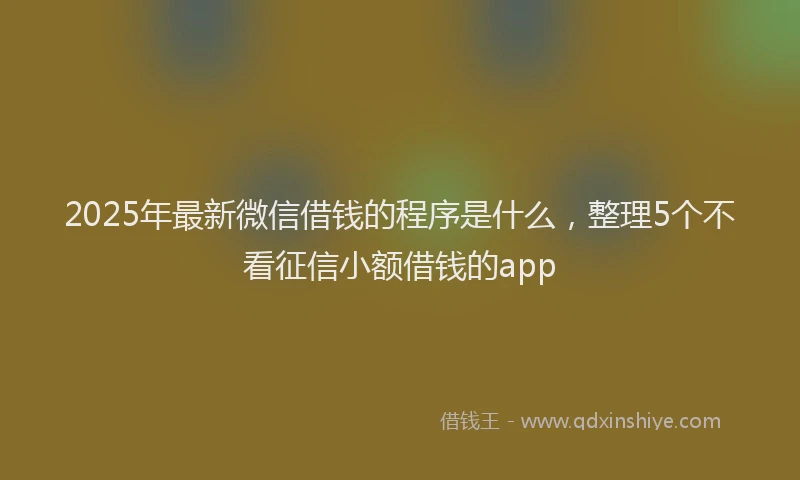 2025年最新微信借钱的程序是什么，整理5个不看征信小额借钱的app