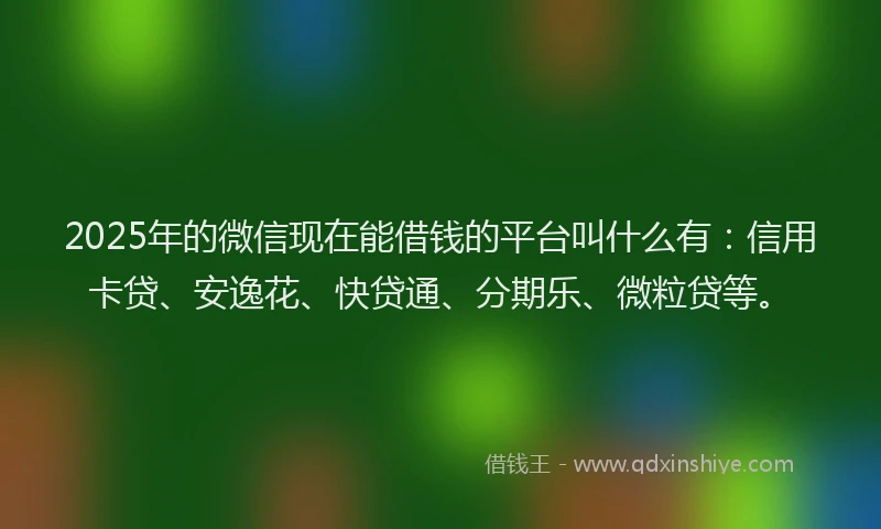 2025年的微信现在能借钱的平台叫什么有：信用卡贷、安逸花、快贷通、分期乐、微粒贷等。