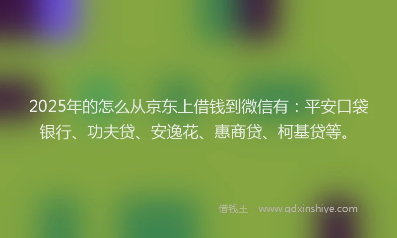 2025年的怎么从京东上借钱到微信有：平安口袋银行、功夫贷、安逸花、惠商贷、柯基贷等。