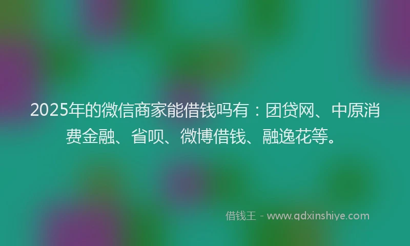 2025年的微信商家能借钱吗有：团贷网、中原消费金融、省呗、微博借钱、融逸花等。