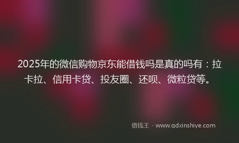 2025年的微信购物京东能借钱吗是真的吗有：拉卡拉、信用卡贷、投友圈、还呗、微粒贷等。
