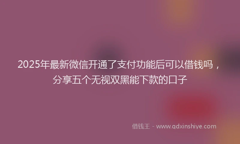 2025年最新微信开通了支付功能后可以借钱吗，分享五个无视双黑能下款的口子