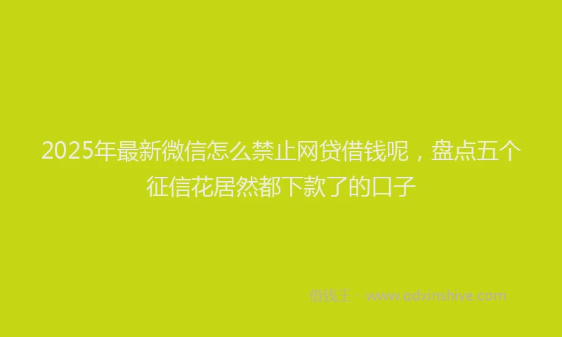 2025年最新微信怎么禁止网贷借钱呢，盘点五个征信花居然都下款了的口子