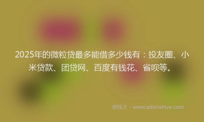2025年的微粒贷最多能借多少钱有：投友圈、小米贷款、团贷网、百度有钱花、省呗等。