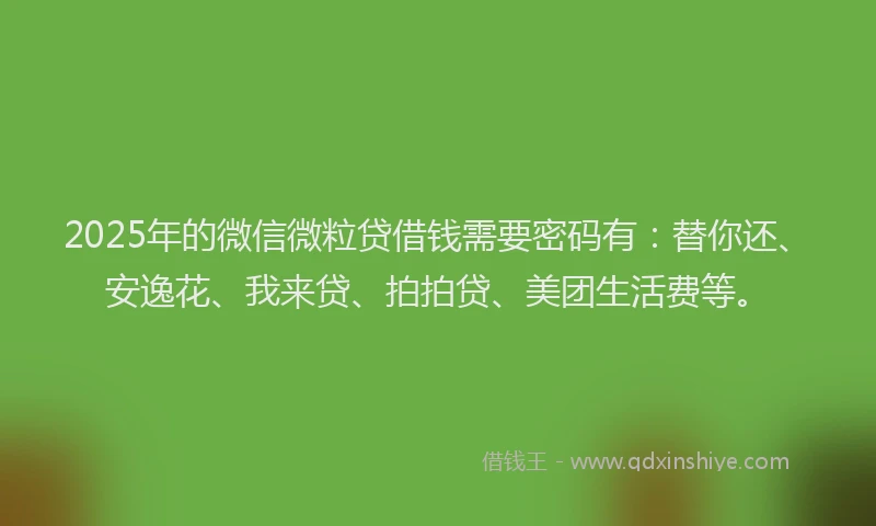 2025年的微信微粒贷借钱需要密码有：替你还、安逸花、我来贷、拍拍贷、美团生活费等。