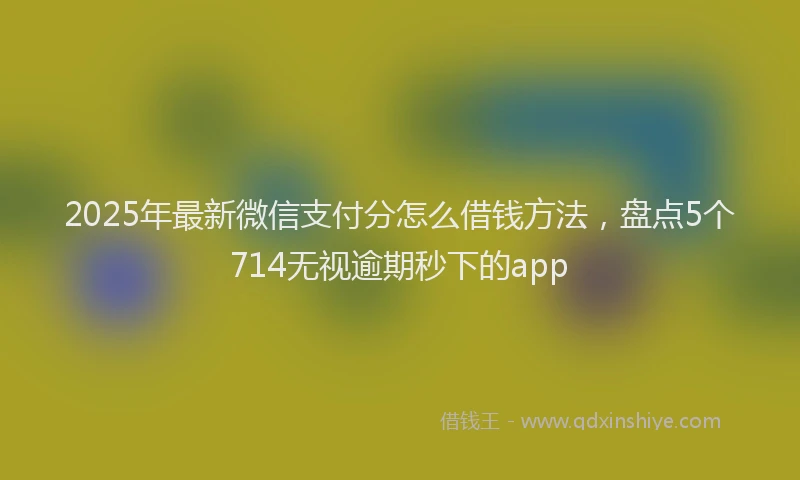2025年最新微信支付分怎么借钱方法，盘点5个714无视逾期秒下的app