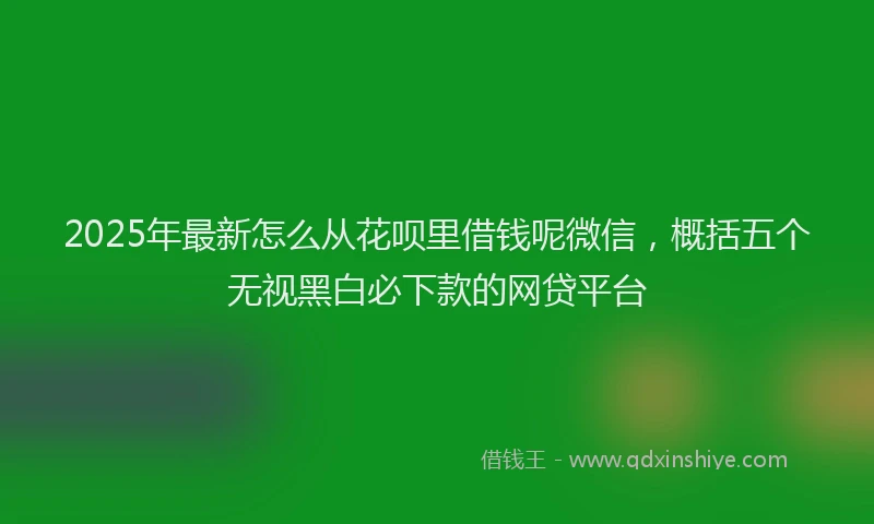 2025年最新怎么从花呗里借钱呢微信，概括五个无视黑白必下款的网贷平台