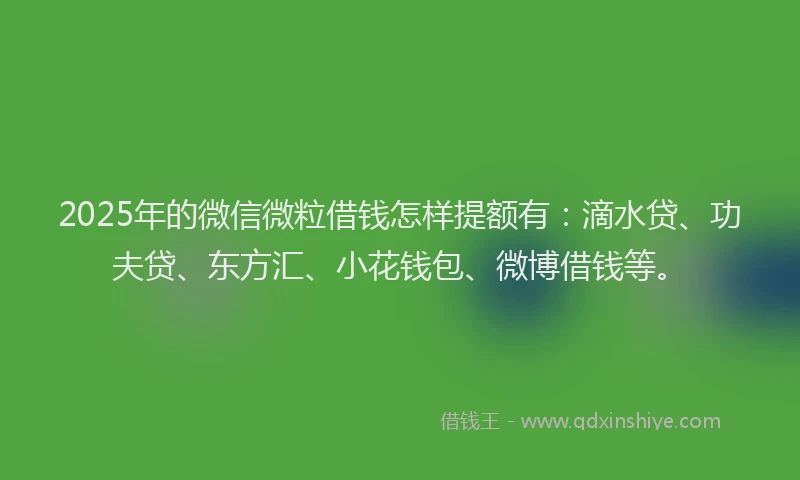 2025年的微信微粒借钱怎样提额有：滴水贷、功夫贷、东方汇、小花钱包、微博借钱等。