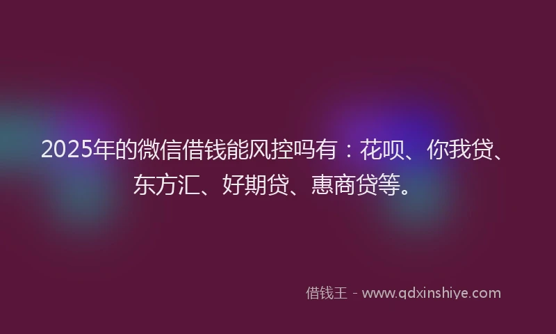 2025年的微信借钱能风控吗有：花呗、你我贷、东方汇、好期贷、惠商贷等。