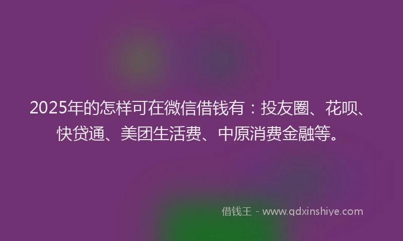 2025年的怎样可在微信借钱有：投友圈、花呗、快贷通、美团生活费、中原消费金融等。