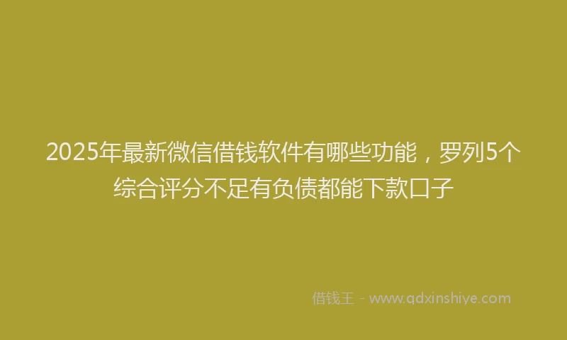 2025年最新微信借钱软件有哪些功能，罗列5个综合评分不足有负债都能下款口子