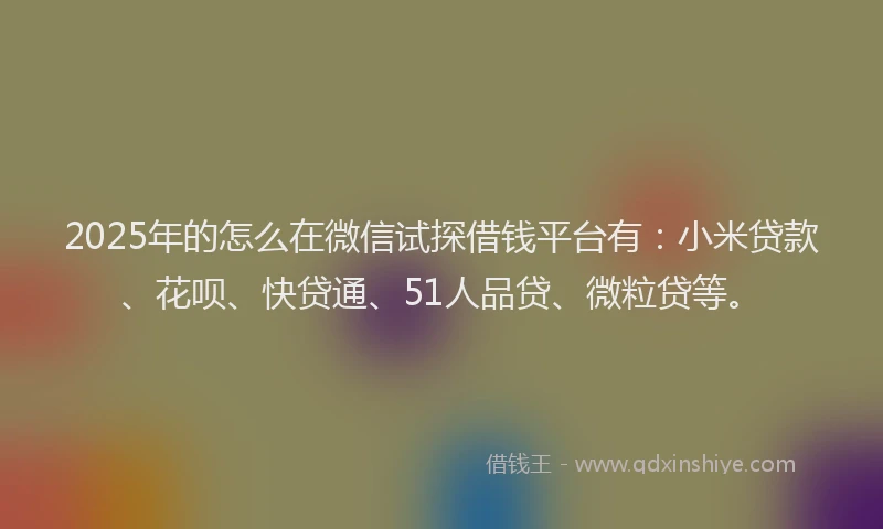 2025年的怎么在微信试探借钱平台有：小米贷款、花呗、快贷通、51人品贷、微粒贷等。
