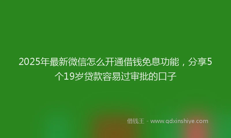 2025年最新微信怎么开通借钱免息功能，分享5个19岁贷款容易过审批的口子