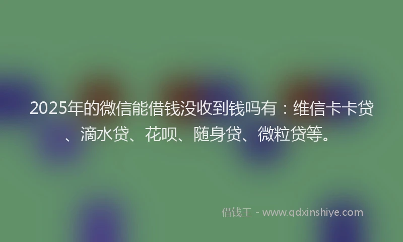 2025年的微信能借钱没收到钱吗有：维信卡卡贷、滴水贷、花呗、随身贷、微粒贷等。