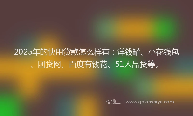 2025年的快用贷款怎么样有：洋钱罐、小花钱包、团贷网、百度有钱花、51人品贷等。