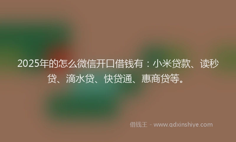 2025年的怎么微信开口借钱有：小米贷款、读秒贷、滴水贷、快贷通、惠商贷等。