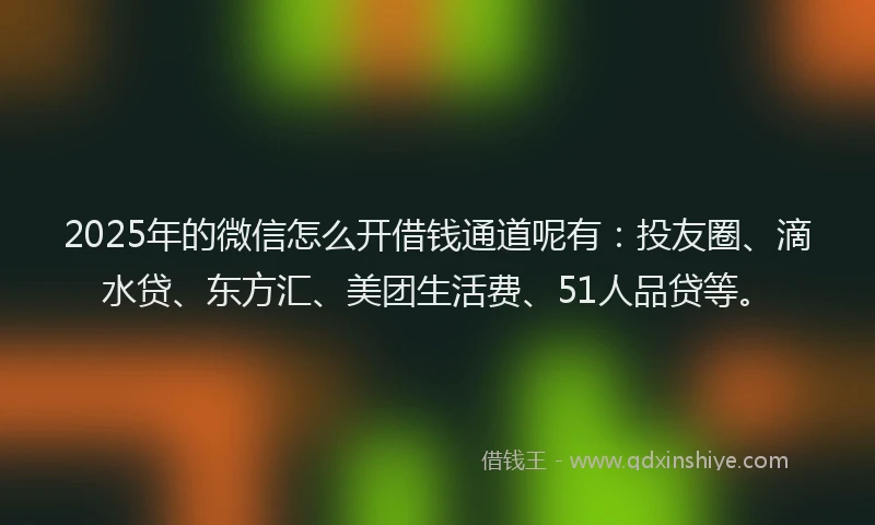 2025年的微信怎么开借钱通道呢有:投友圈、滴水贷、东方汇、美团生活费、51人品贷等。