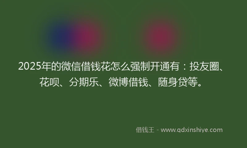 2025年的微信借钱花怎么强制开通有：投友圈、花呗、分期乐、微博借钱、随身贷等。