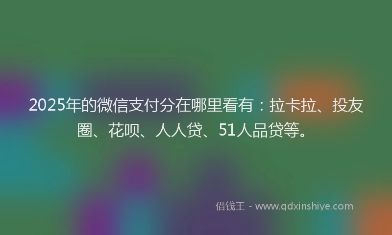2025年的微信支付分在哪里看有：拉卡拉、投友圈、花呗、人人贷、51人品贷等。