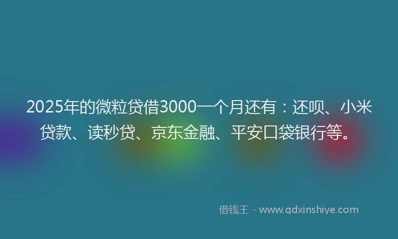 2025年的微粒贷借3000一个月还有：还呗、小米贷款、读秒贷、京东金融、平安口袋银行等。