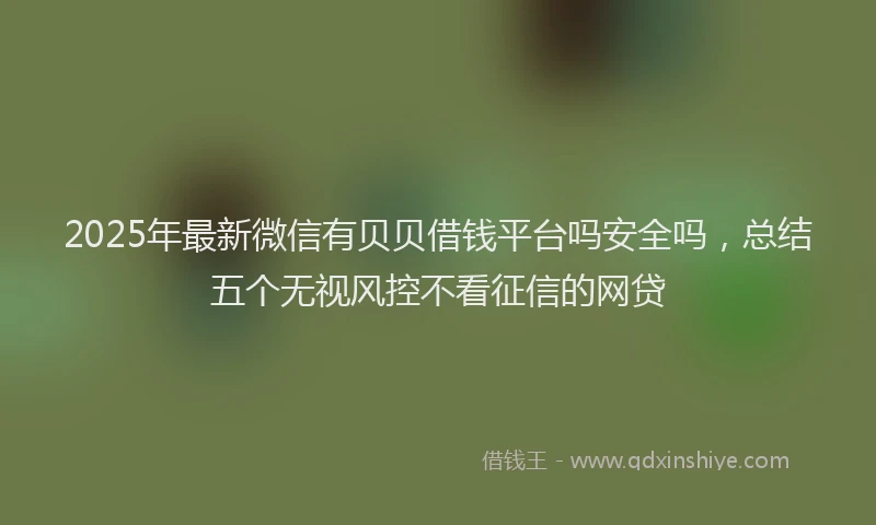 2025年最新微信有贝贝借钱平台吗安全吗，总结五个无视风控不看征信的网贷