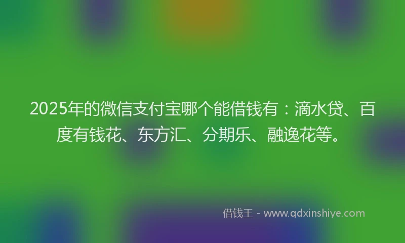 2025年的微信支付宝哪个能借钱有：滴水贷、百度有钱花、东方汇、分期乐、融逸花等。