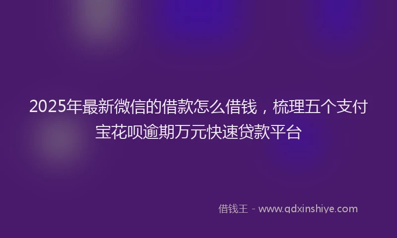 2025年最新微信的借款怎么借钱，梳理五个支付宝花呗逾期万元快速贷款平台