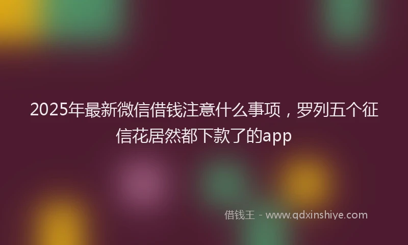 2025年最新微信借钱注意什么事项，罗列五个征信花居然都下款了的app