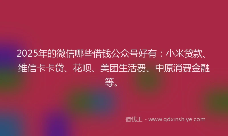 2025年的微信哪些借钱公众号好有：小米贷款、维信卡卡贷、花呗、美团生活费、中原消费金融等。