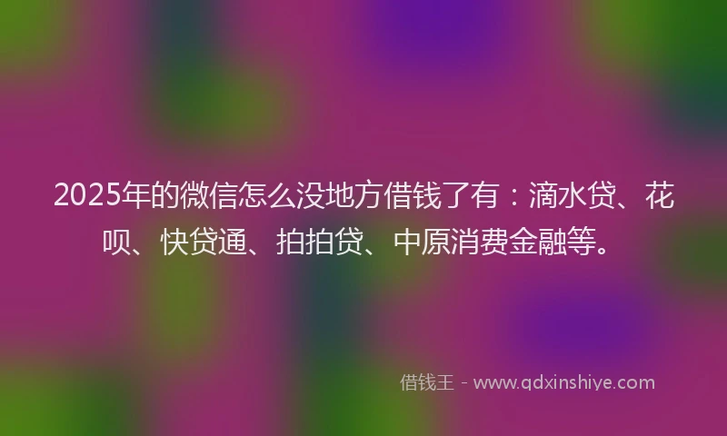 2025年的微信怎么没地方借钱了有：滴水贷、花呗、快贷通、拍拍贷、中原消费金融等。
