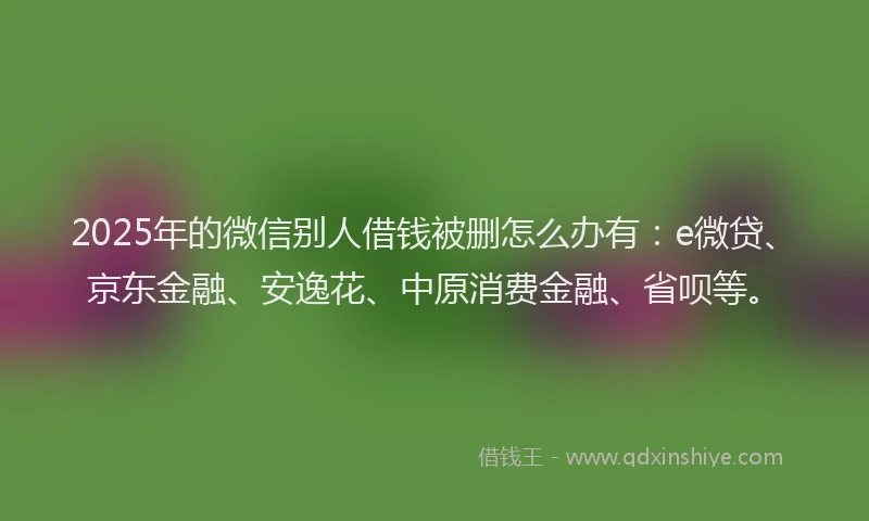 2025年的微信别人借钱被删怎么办有：e微贷、京东金融、安逸花、中原消费金融、省呗等。