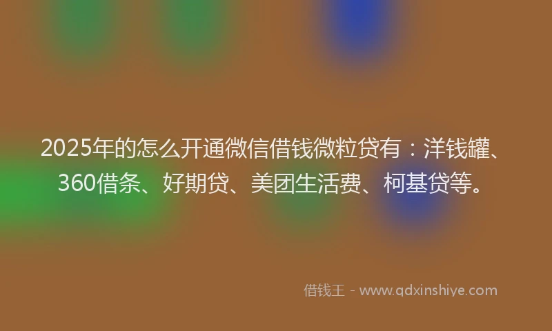 2025年的怎么开通微信借钱微粒贷有：洋钱罐、360借条、好期贷、美团生活费、柯基贷等。