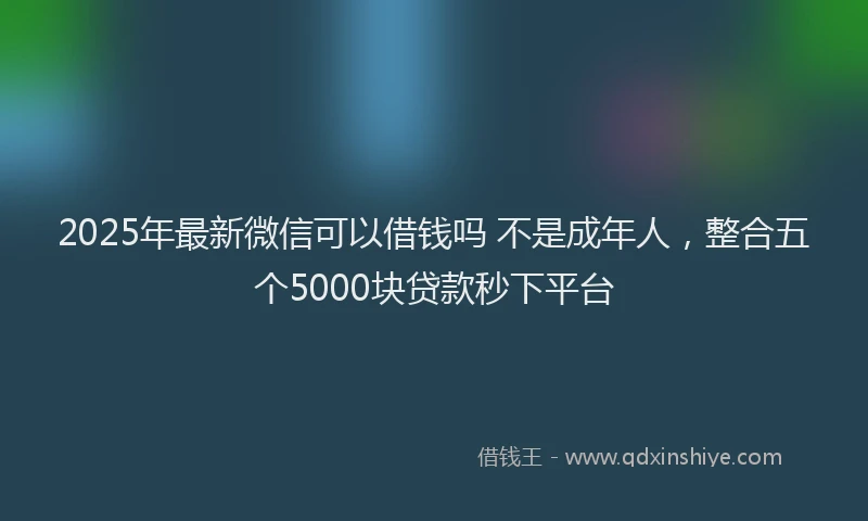 2025年最新微信可以借钱吗 不是成年人，整合五个5000块贷款秒下平台