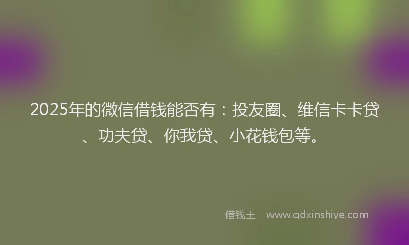 2025年的微信借钱能否有：投友圈、维信卡卡贷、功夫贷、你我贷、小花钱包等。