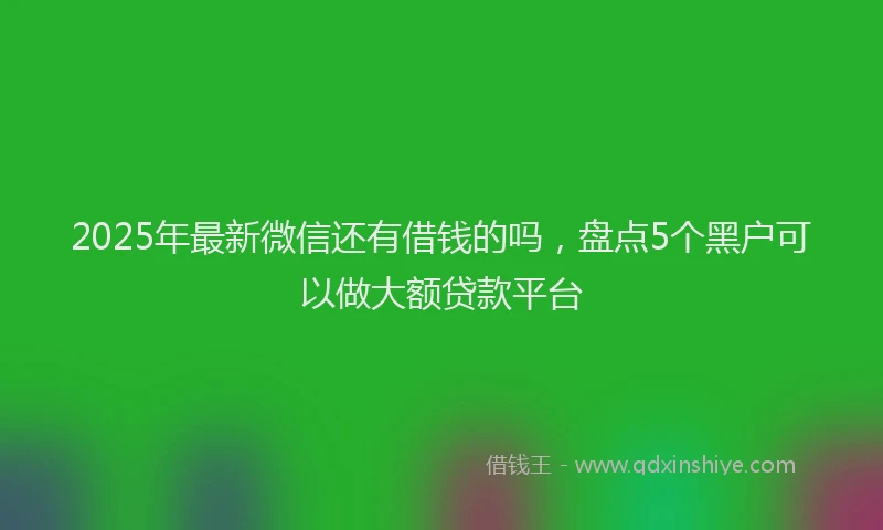 2025年最新微信还有借钱的吗，盘点5个黑户可以做大额贷款平台