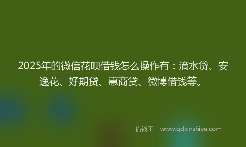 2025年的微信花呗借钱怎么操作有：滴水贷、安逸花、好期贷、惠商贷、微博借钱等。