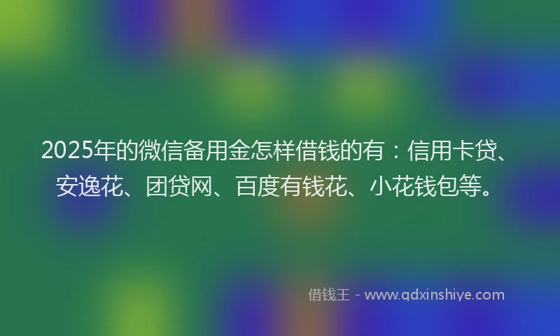 2025年的微信备用金怎样借钱的有：信用卡贷、安逸花、团贷网、百度有钱花、小花钱包等。