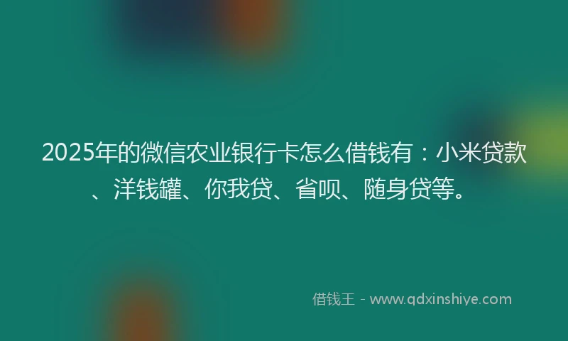 2025年的微信农业银行卡怎么借钱有：小米贷款、洋钱罐、你我贷、省呗、随身贷等。