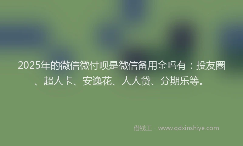 2025年的微信微付呗是微信备用金吗有：投友圈、超人卡、安逸花、人人贷、分期乐等。