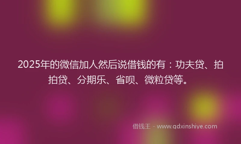 2025年的微信加人然后说借钱的有：功夫贷、拍拍贷、分期乐、省呗、微粒贷等。
