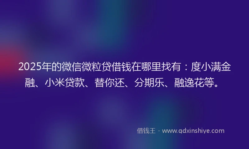 2025年的微信微粒贷借钱在哪里找有：度小满金融、小米贷款、替你还、分期乐、融逸花等。